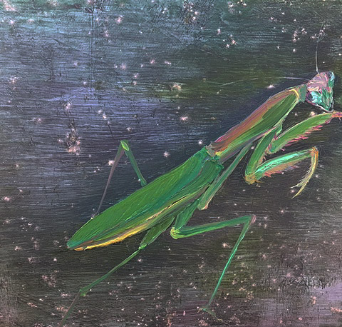 カビ ダメージ カビ ダメージ