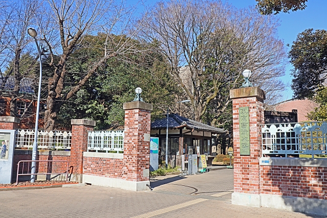 東京芸術大学
