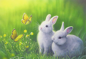 BUTTERCUPS