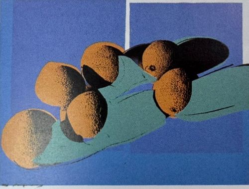 宇宙の果物(スティルライフ)キャンタローブ Ⅰ