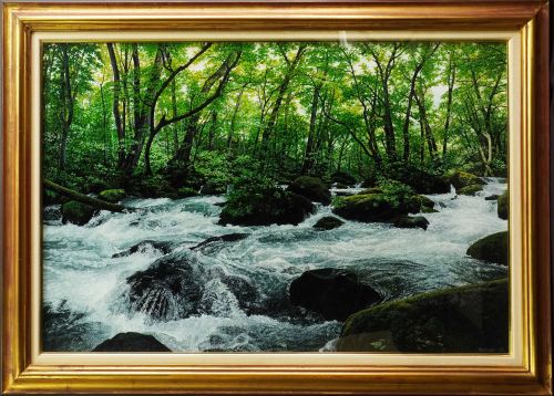 川島未雷の蒼流（奥入瀬）（油彩）の作品写真