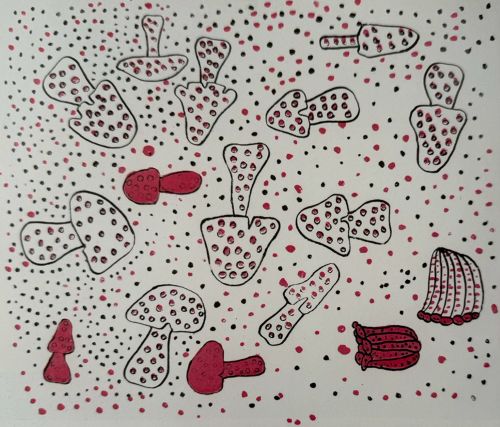 マッシュルーム TZXT