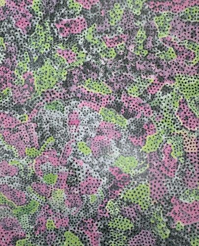 花さける信濃路