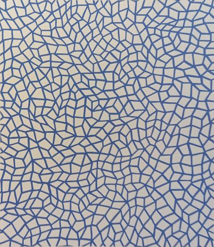 インフィニティ・ネッツ