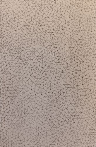 無限の網（A・B）