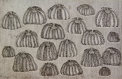 かぼちゃ軍団’85（黒）