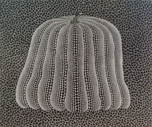 かぼちゃ（白Y）