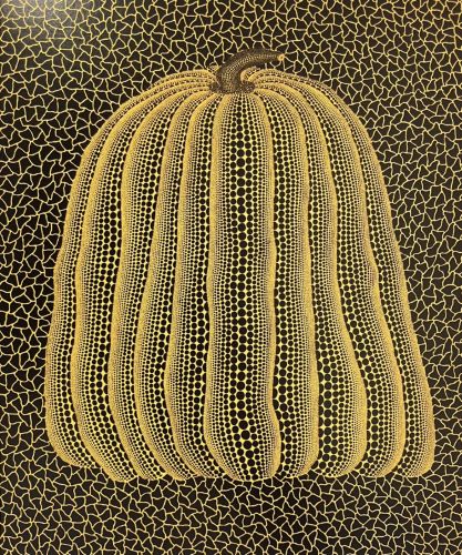 かぼちゃ（黄T）