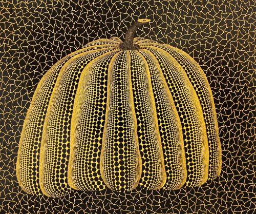 かぼちゃ（黄Y）