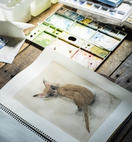 猫　動物画